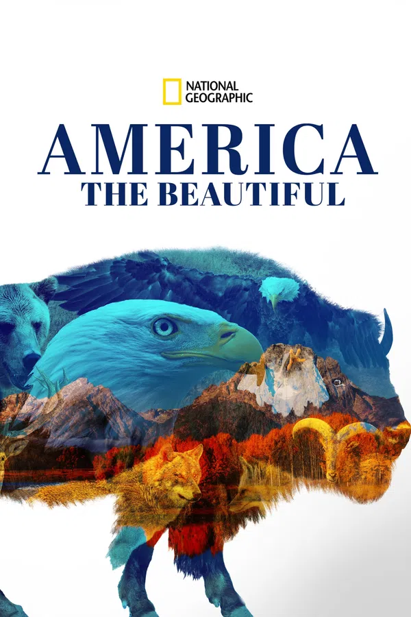 Xem Phim America the Beautiful Vietsub HD Online