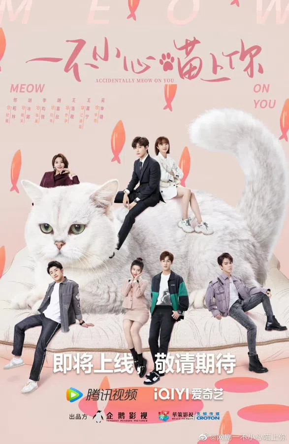 Xem Phim Bất Cẩn Meow Phải Anh Vietsub HD Online