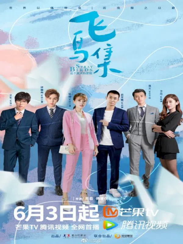 Xem Phim Bầy Chim Lạc Vietsub HD Online