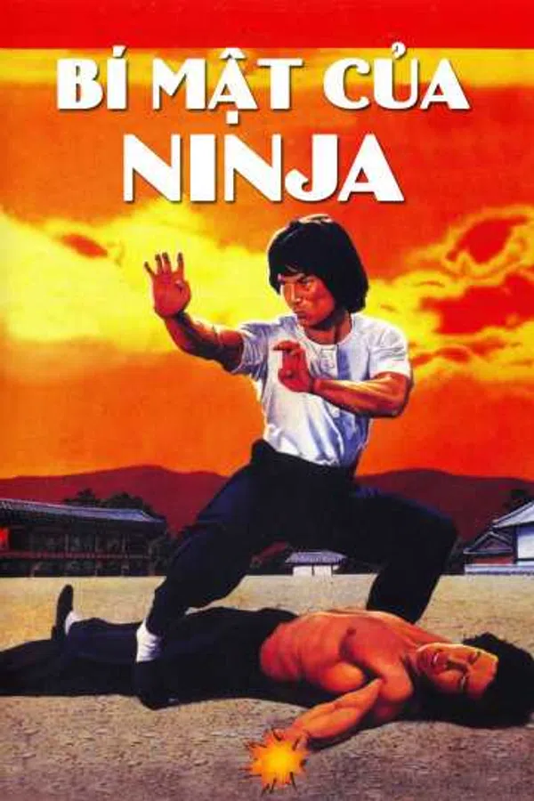 Xem Phim Bí Mật Của Ninja Vietsub HD Online