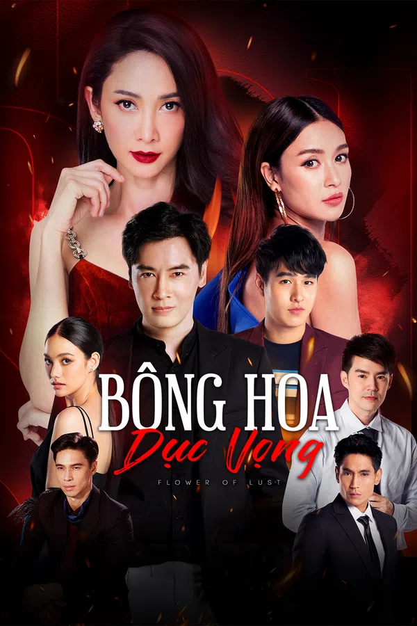Xem Phim Bông Hoa Dục Vọng Vietsub HD Online
