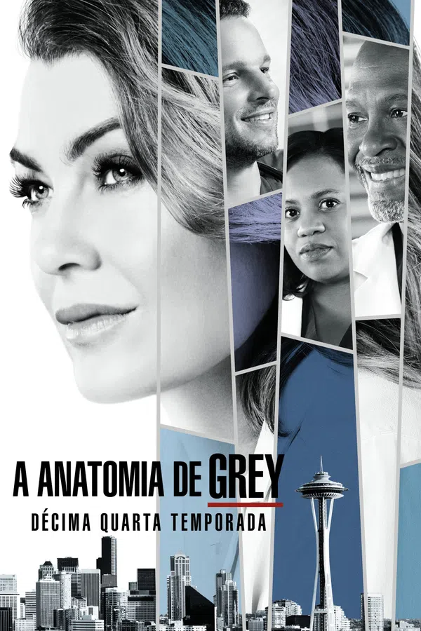 Xem Phim Ca Phẫu Thuật Của Grey (Phần 14) Vietsub HD Online