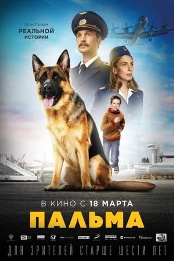 Xem Phim Chú Chó Palma Vietsub HD Online