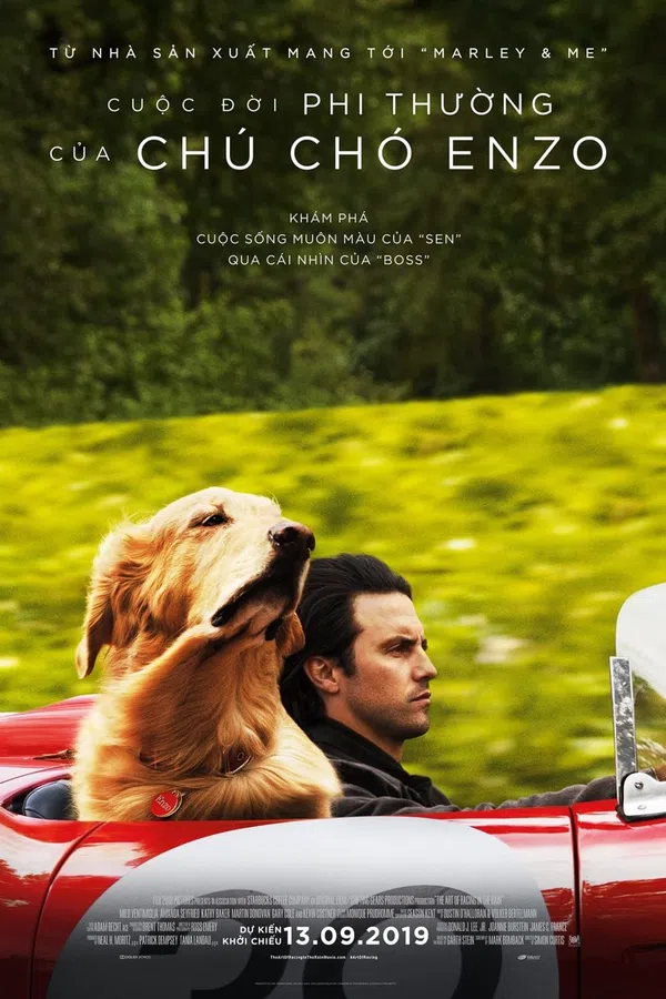 Poster phim Cuộc Đời Phi Thường Của Chú Chó Enzo trên Xem Phim Fun