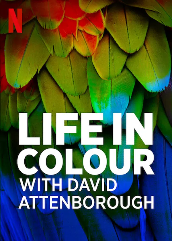 Poster phim David Attenborough: Sự sống đầy màu sắc trên Xem Phim Fun