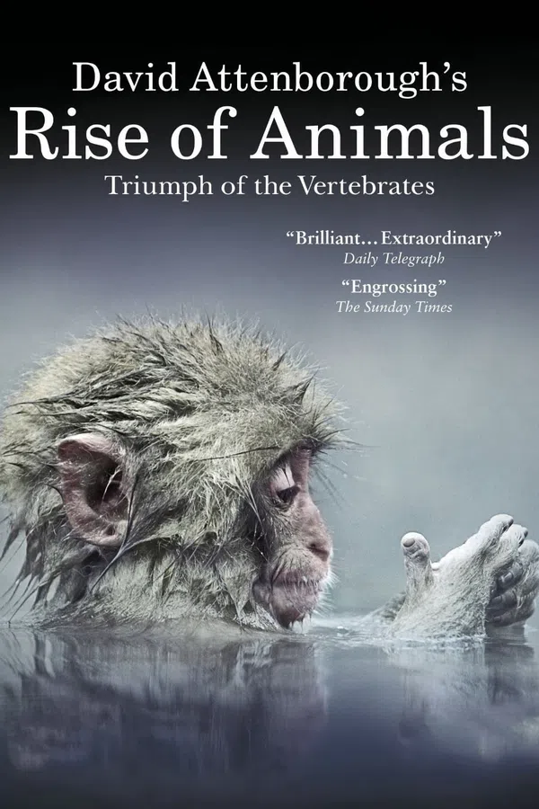 Poster phim David Attenborough's Rise of Animals: Triumph of the Vertebrates trên Xem Phim Fun