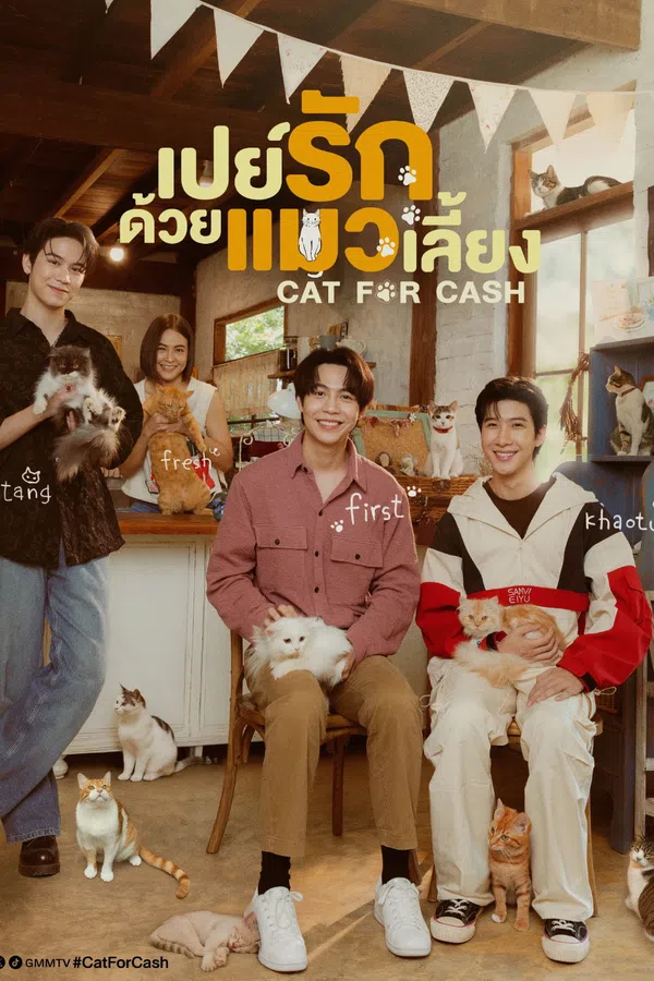 Xem Phim Đổi Tình Lấy Mèo Vietsub HD Online