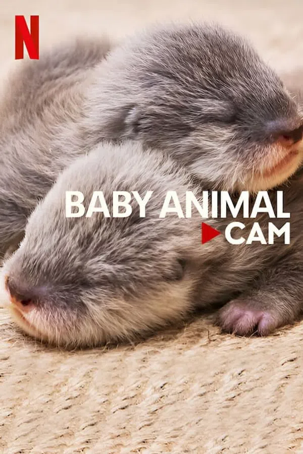 Xem Phim Động vật bé cưng trên camera Vietsub HD Online