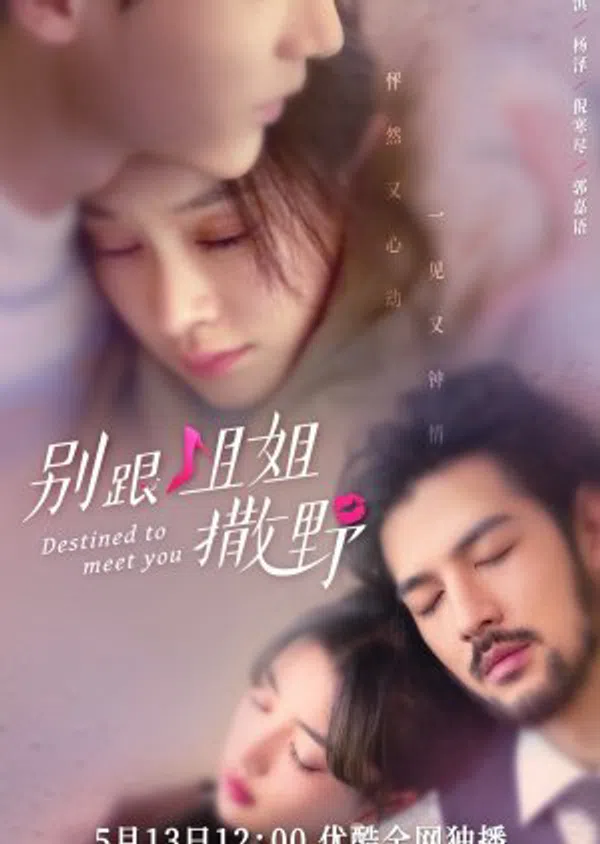 Xem Phim Đừng Nhờn Với Chị Vietsub HD Online
