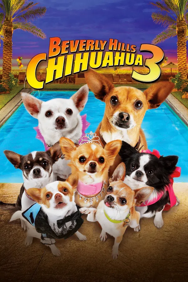Poster phim Những Chú Chó Chihuahua 3 trên Xem Phim Fun