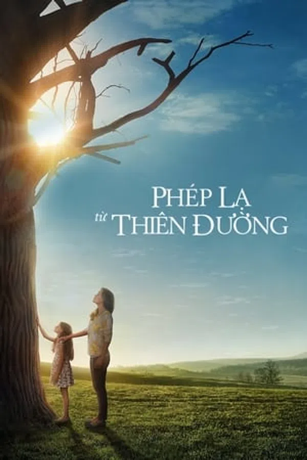 Xem Phim Phép Màu Từ Thiên Đàng Vietsub HD Online
