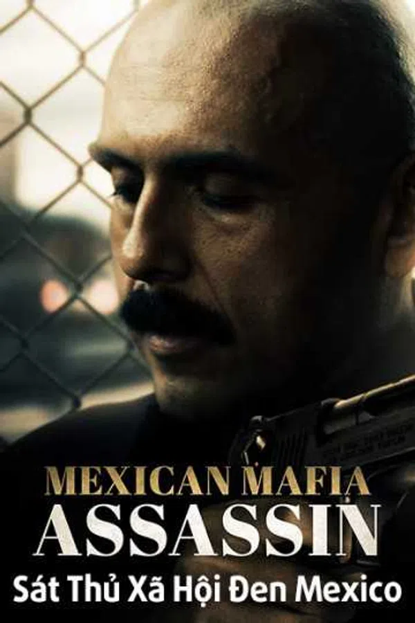 Xem Phim Sát Thủ Xã Hội Đen Mexico Vietsub HD Online