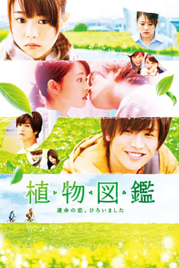 Xem Phim Tình Yêu Định Mệnh Chợt Đến Vietsub HD Online