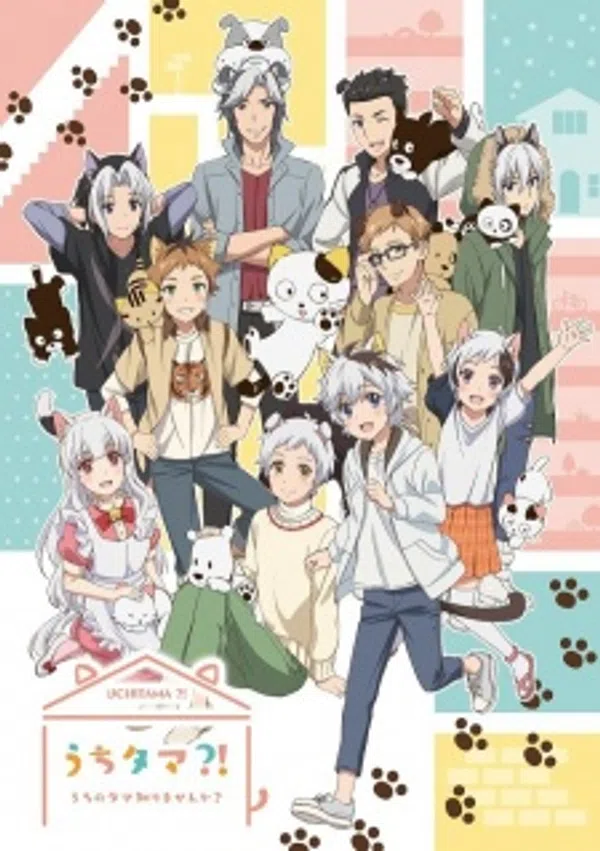 Poster phim Uchi Tama?! Uchi no Tama Shirimasen ka? trên Xem Phim Fun